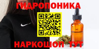 гашик Изобильный
