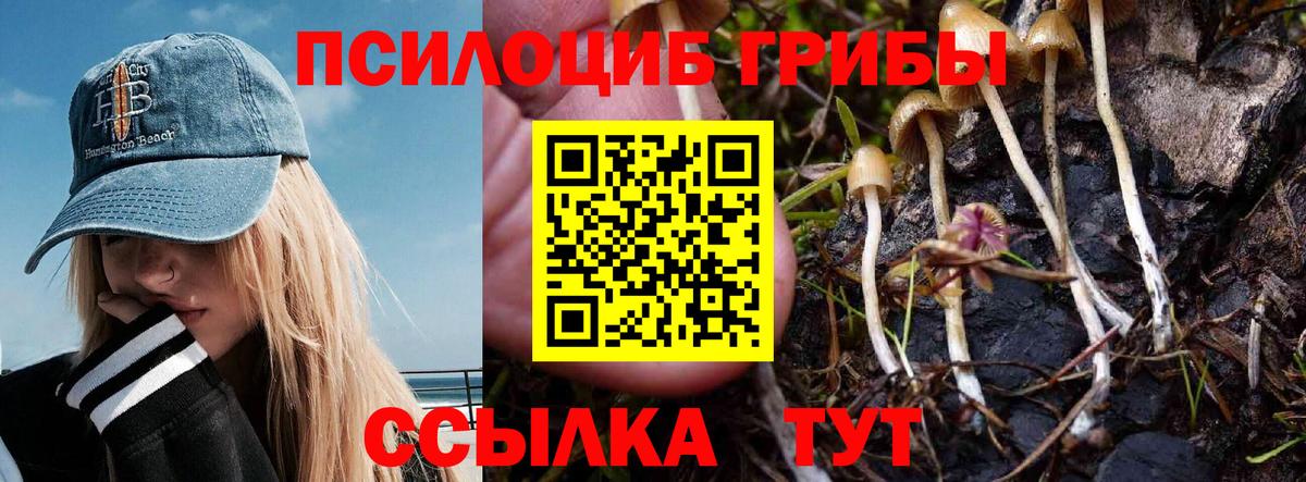 Псилоцибиновые грибы мицелий  Галлюциногенные грибы Cubensis  Лысьва  Вход с VPN 